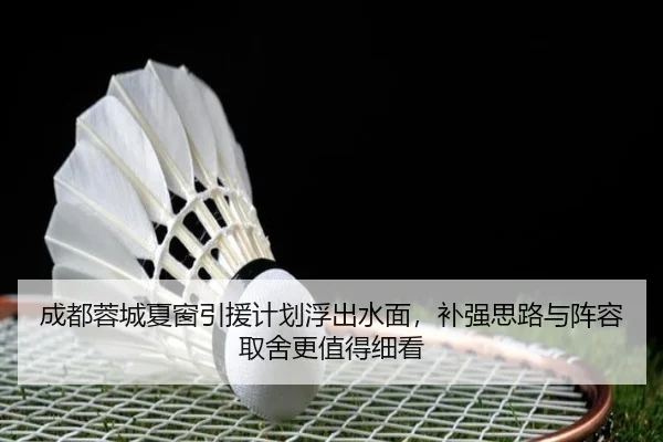 成都蓉城夏窗引援计划浮出水面，补强思路与阵容取舍更值得细看